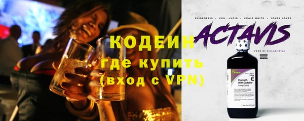 хмурый Арсеньев