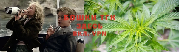 индика Абинск