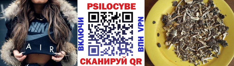 Галлюциногенные грибы Psilocybine cubensis  Темрюк 